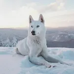 Daire Lux Lapland Gielas Utsuvaara Levi