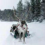 Lux Lapland Gielas Utsuvaara Levi