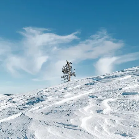 Lux Lapland Gielas Utsuvaara Апартаменты