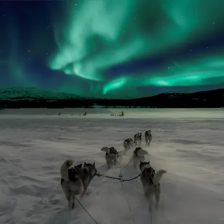 Lux Lapland Gielas Utsuvaara Daire Levi