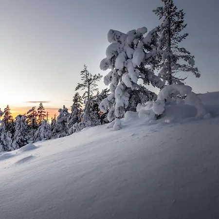 Апартаменты Lux Lapland Gielas Utsuvaara Леви