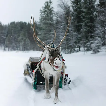 Lux Lapland Gielas Utsuvaara Леви