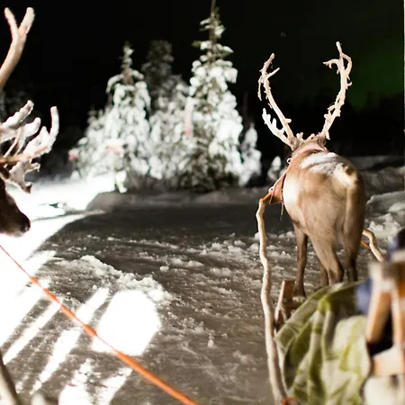 Lux Lapland Gielas Utsuvaara Διαμέρισμα Levi